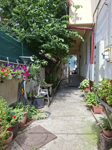 Piata Unirii, Calea Calarasilor, proprietar, vand casa P+M, 4 camere,